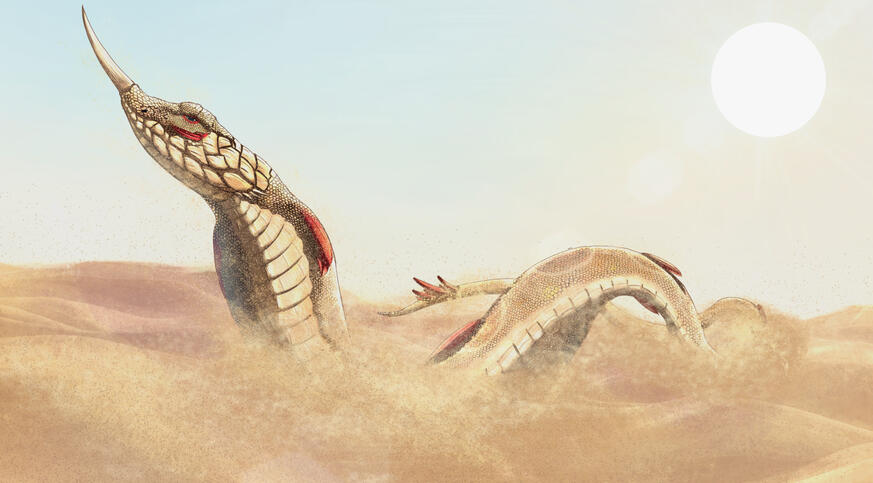 Painted Image - €100.00